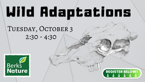 OCTOBER 3RD- Wild Adaptations