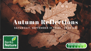 NOVEMBER 11TH- Autumn Reflections