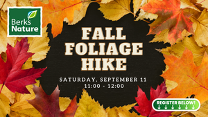 NOVEMBER 11TH- Fall Foliage Hike