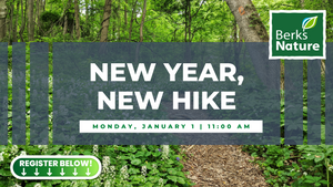 JANUARY 1ST- New Year, New Hike