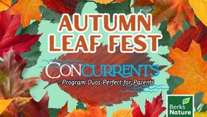 OCTOBER 24TH - Concurrents: Autumn Leaf Fest (Adults)