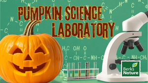 OCTOBER 24TH - Pumpkin Science Lab