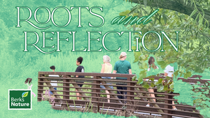 OCTOBER 31ST - Quarterly Reset: Gratitude on the Trail
