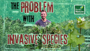 OCTOBER 31ST - Adult Lecture: The Problem with Invasive Species