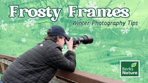 DECEMBER 5TH - Frosty Frames: Winter Photography Tricks