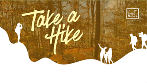 OCTOBER 10TH - Hike the Preserves: Bob's Woods