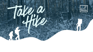 DECEMBER 19TH - Hike the Preserves: Angelica Creek Trail