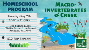 MAY 7TH - Homeschool: Macroinvertebrates & Creek Exploration (7+)