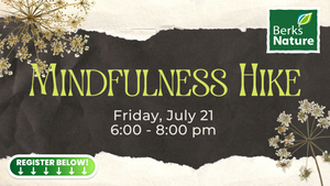 JULY 21ST- Mindfulness Hike
