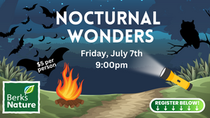 JULY 7TH- Nocturnal Wonders