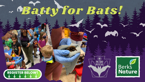 AUGUST 18TH- Batty For Bats