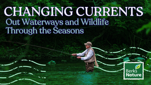 SEPTEMBER 25TH - Changing Currents: Our Waterways and Wildlife Through the Seasons