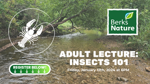 JANUARY 12TH - Adult Insects Lecture