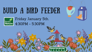 JANUARY 5th - Build A Bird Feeder!