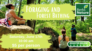 JUNE 17TH - Foraging and Forest Bathing