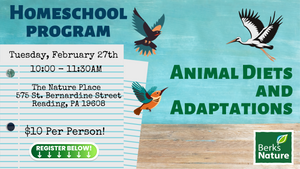 FEBRUARY 27TH - Homeschool Program Adaptations