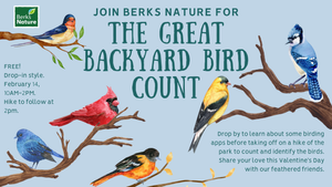FEBRUARY 14TH - Great Backyard Bird Count Day at Angelica