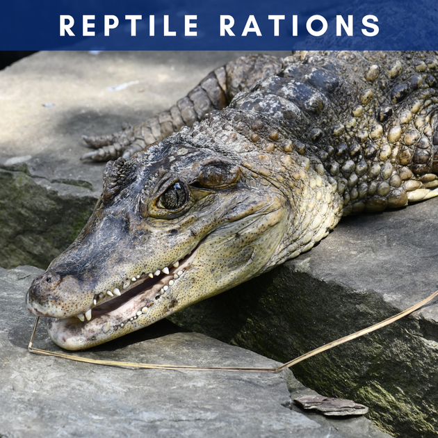 Reptile Rations — Donate Today!