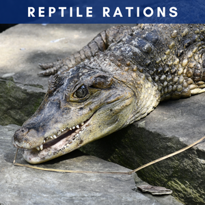Reptile Rations