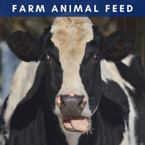 Farm Animal Feed