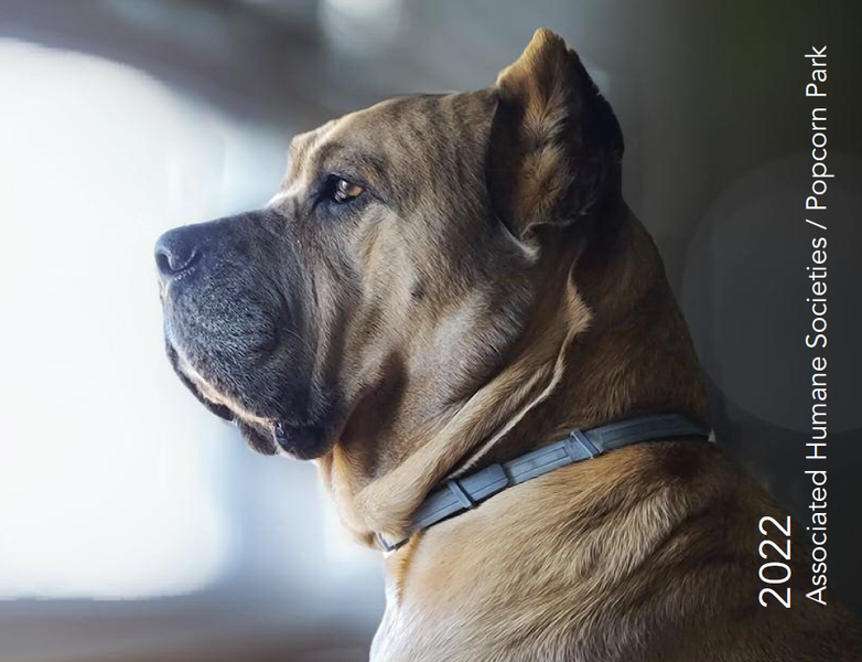 2022 Associated Humane Societies Calendar! — Donate Today!