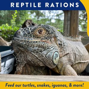 Reptile Rations