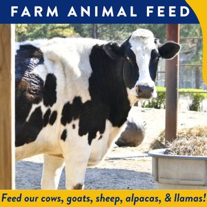 Farm Animal Feed