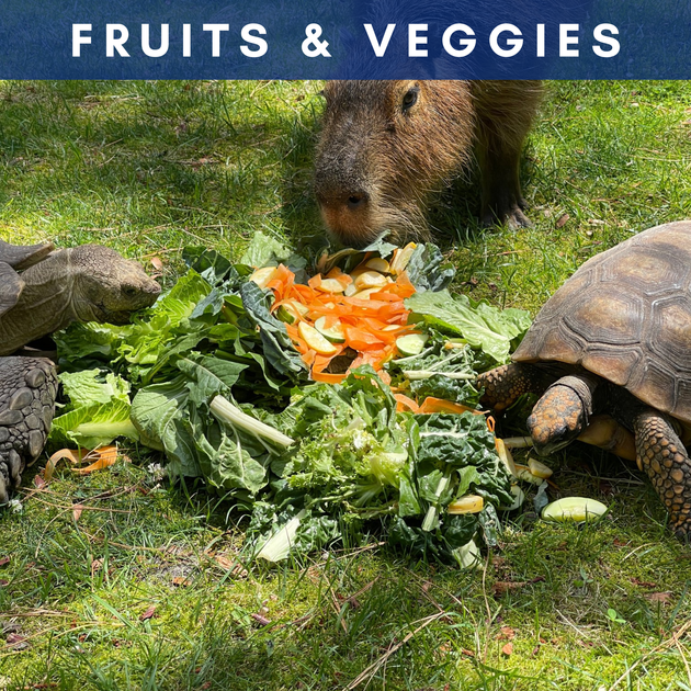 Fresh Fruits & Veggies — Donate Today!
