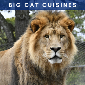 Big Cat Cuisines