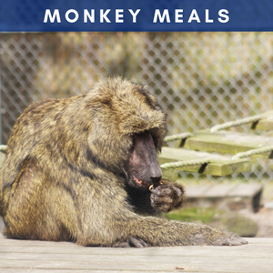 Monkey Meals