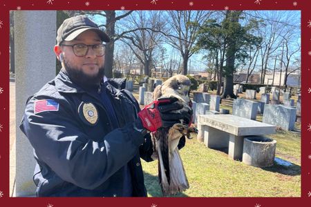 Humane Enforcement Assistance