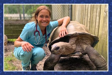 Medical Care for Refuge Animals