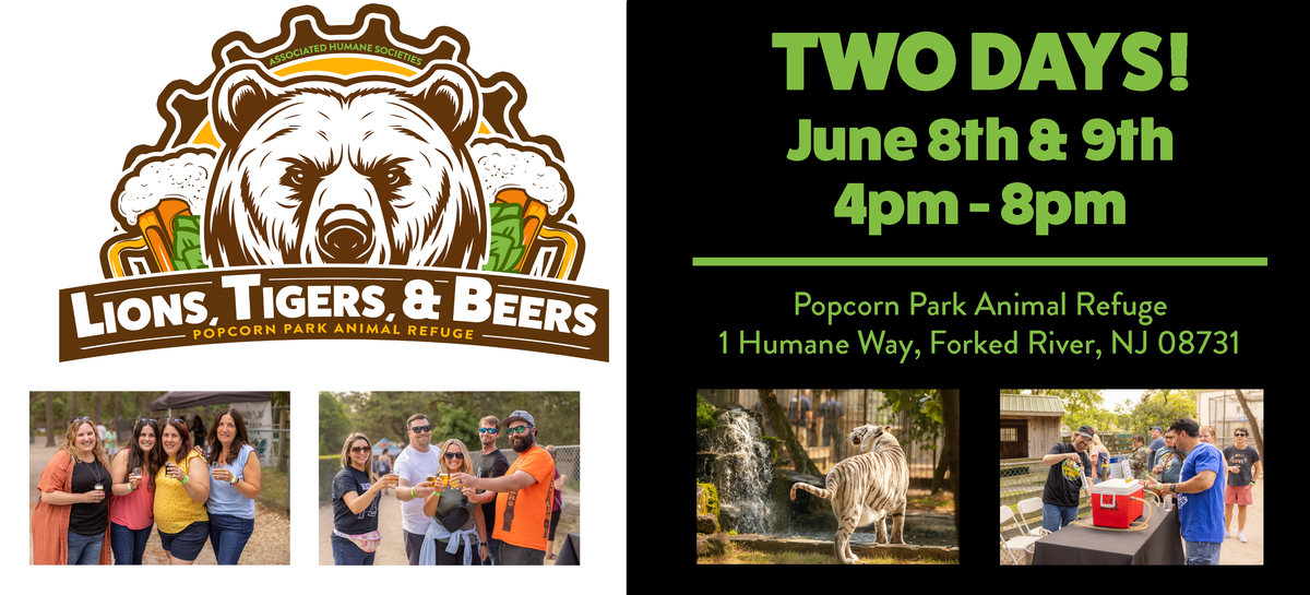 Lions, Tigers, and BEERS Food & Drink Vendor Registration — Donate Today!