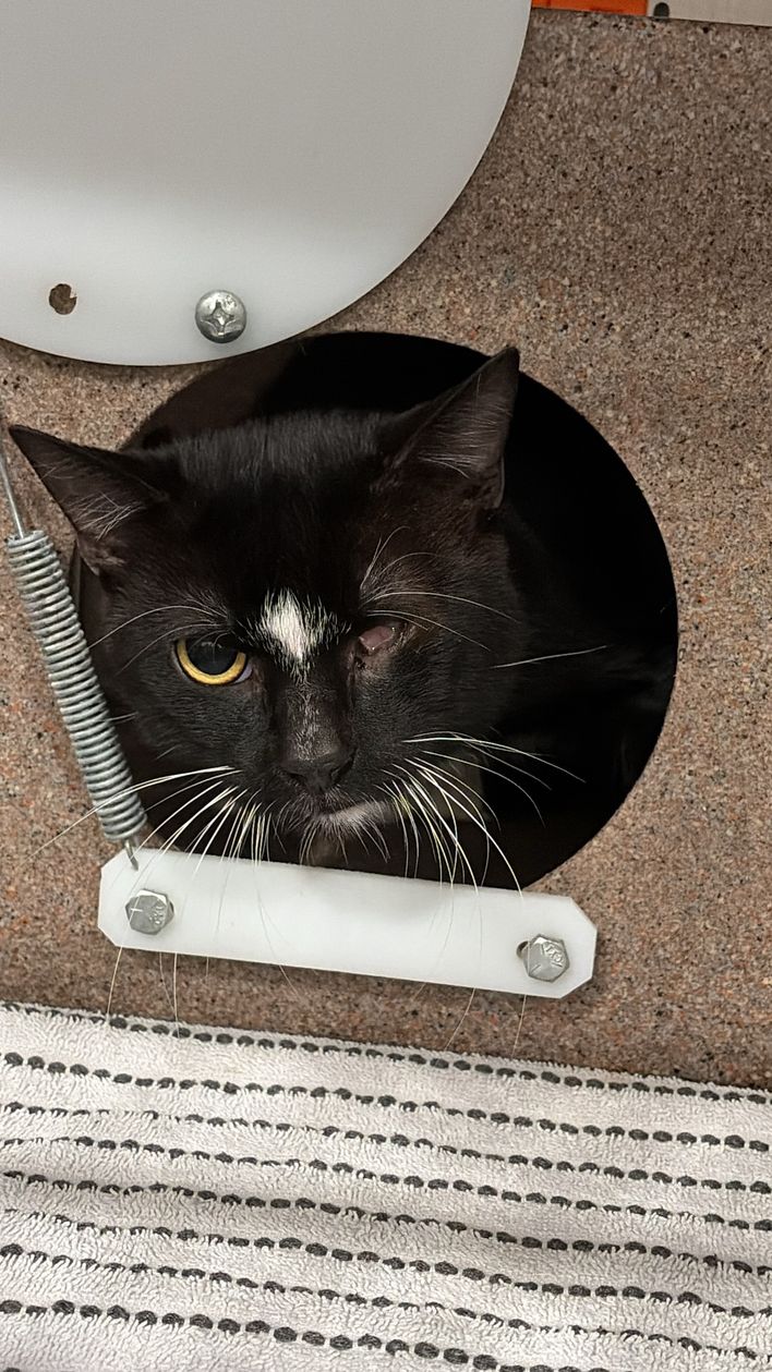 Emma Dolan's Birthday Fundraiser