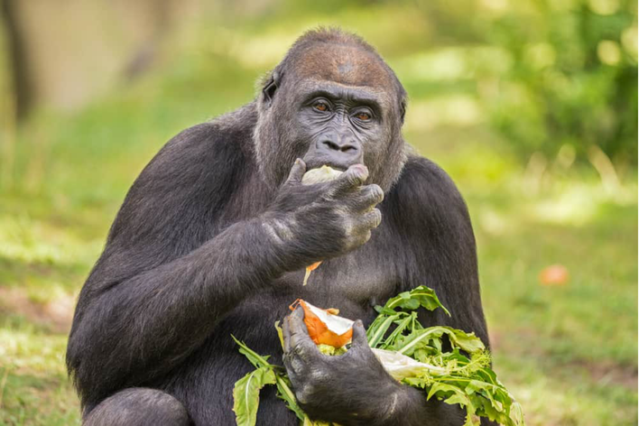 A Little Snack for a big Cause