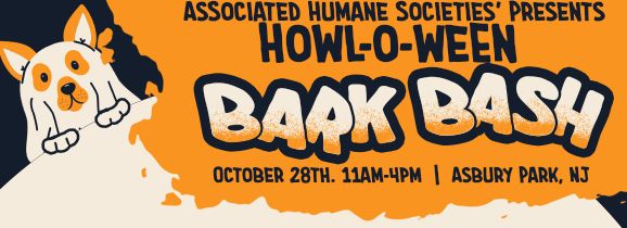 Bark Bash for Bruno and Bea Bop