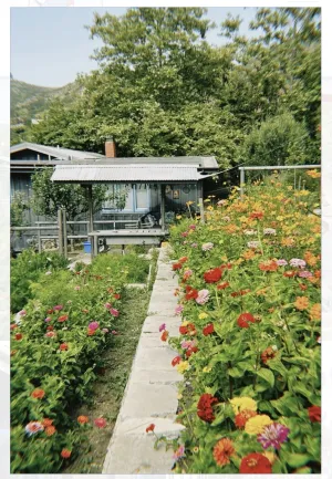 Member Excursion - Bluebird Canyon Farm