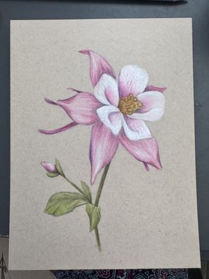 Mixed Media Workshop: Colored Pencils