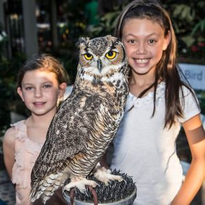 Creatures of the Night: Saturday, 2.25.23