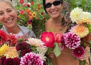 Dahlia Season Showcase