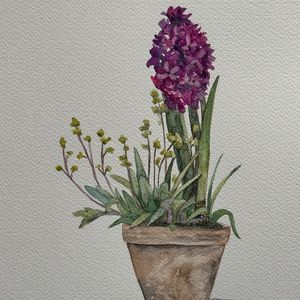 Watercolor Class: Hyacinth