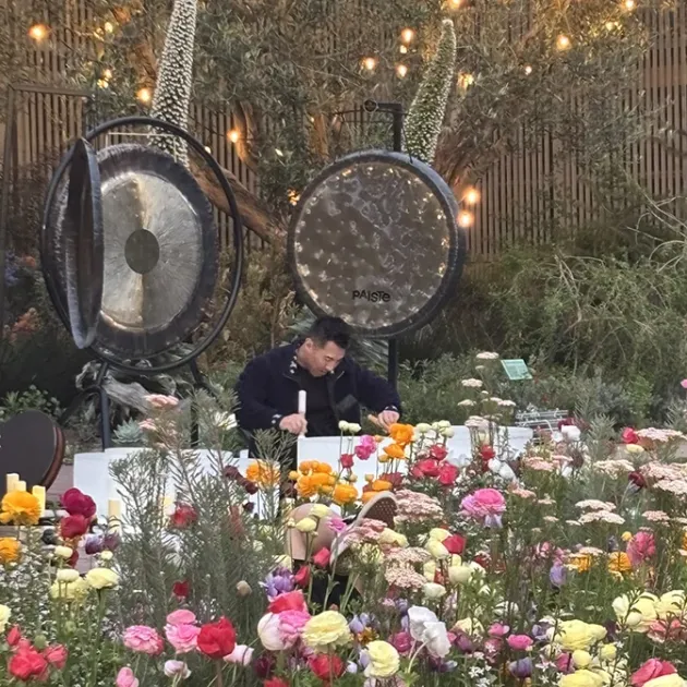 Shinrin-yoku Sound Healing: A Forest Bathing Outdoor Sunset Sound