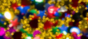 Merry & Bright Nights 12/4/26 - Dual Adult Membership Bundle