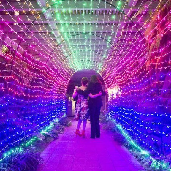 Nights 12/22 600 p.m. — Sherman Library & Gardens