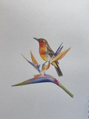 Watercolor Robin