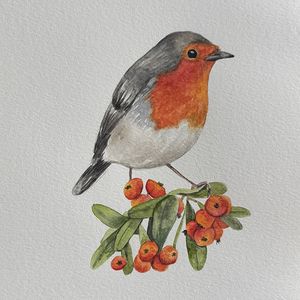 Watercolor Class: Robin Red Breast