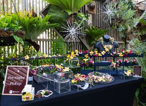 2026 Botanical Ball Boutique