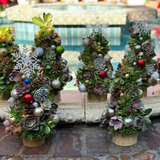 Succulent Christmas Tree Workshop  Sherman Library & Gardens