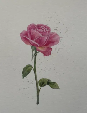 Watercolor: A Pink Rose