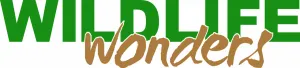 Wildlife Wonders